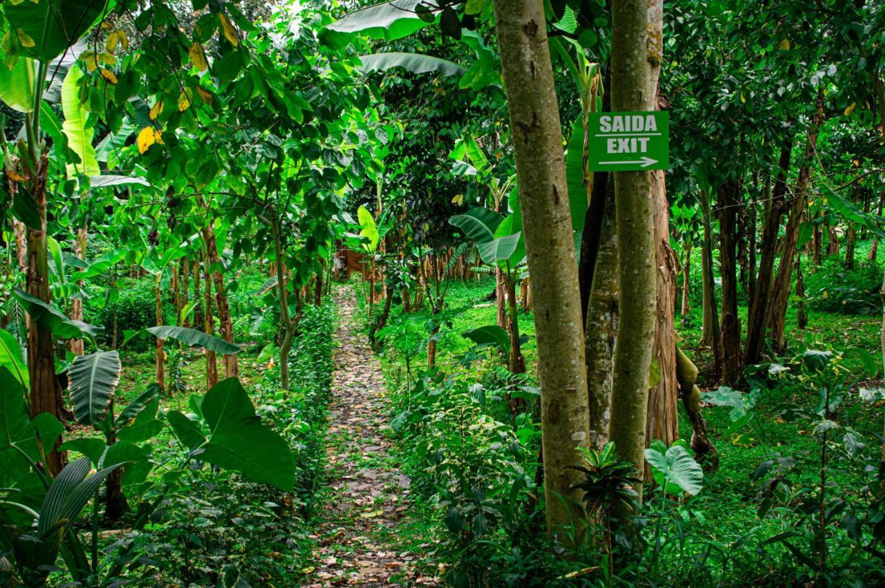 Eco-Por Rio do Ouro Exterior foto